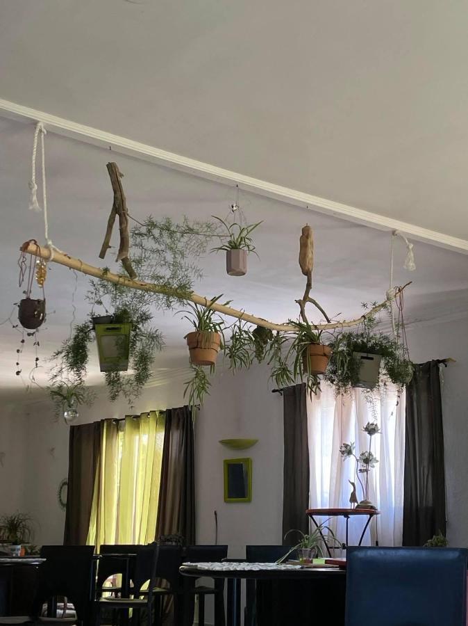 Arcantis Hotel La Gentillhommiere Trèbes Esterno foto