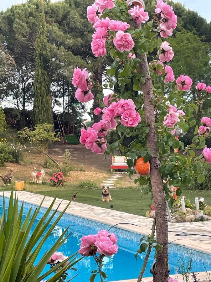 Arcantis Hotel La Gentillhommiere Trèbes Esterno foto